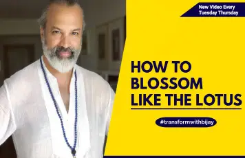 HOW TO BLOSSOM LIKE LOTUS
