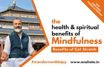 BENEFITS OF CAT STRETCH